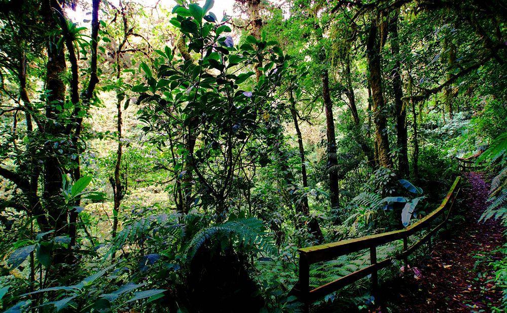 Hotel El Establo Mountain